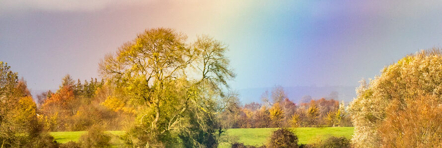 rainbow in an English countryside scene with oak trees on the horizon