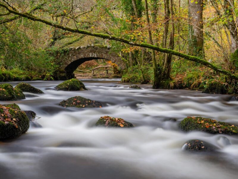 river with bridge in background and
